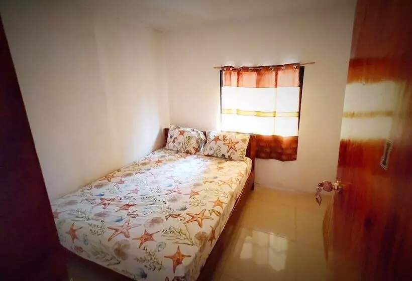 La Mallorca Backpackers Inn   Hostel   Adults Only