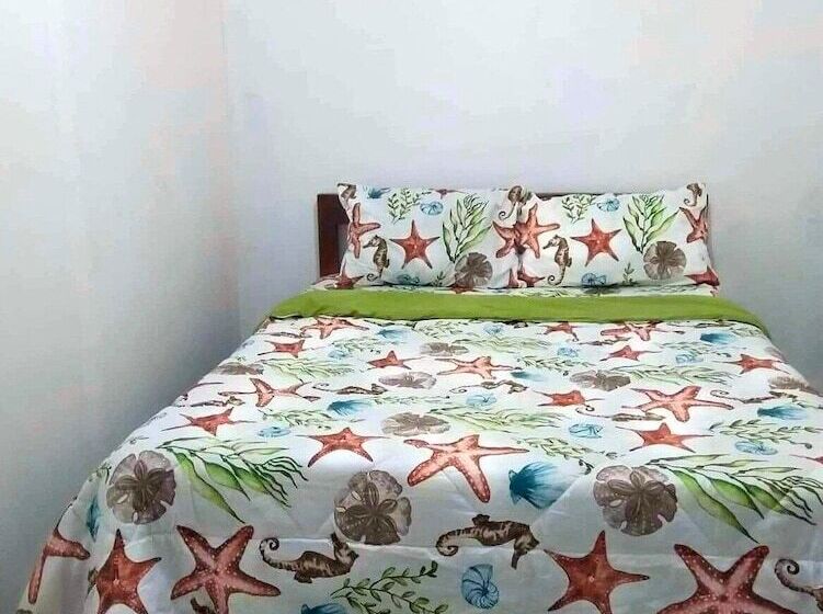 La Mallorca Backpackers Inn   Hostel   Adults Only