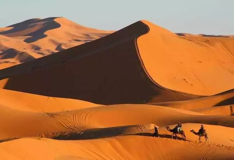 ホテル Overnight Camel Trekking
