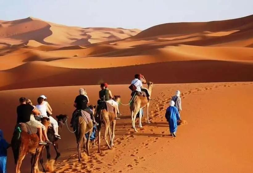 ホテル Overnight Camel Trekking