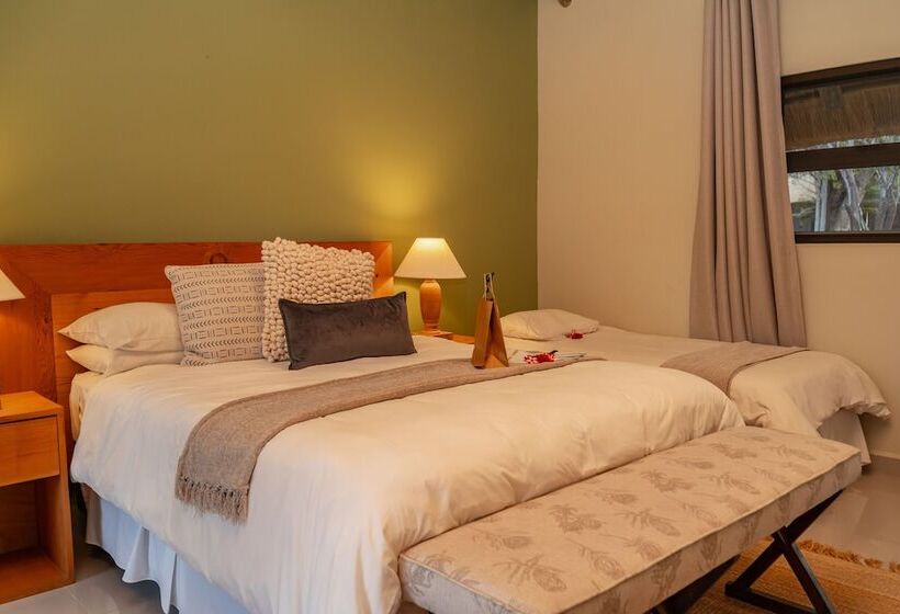 ホテル Tomo Safari Lodge