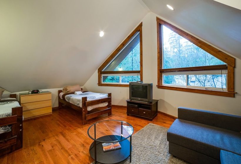 Mt. Baker Lodging Cabin 50  Hot Tub, Wifi, Sleeps 8! By Mbl