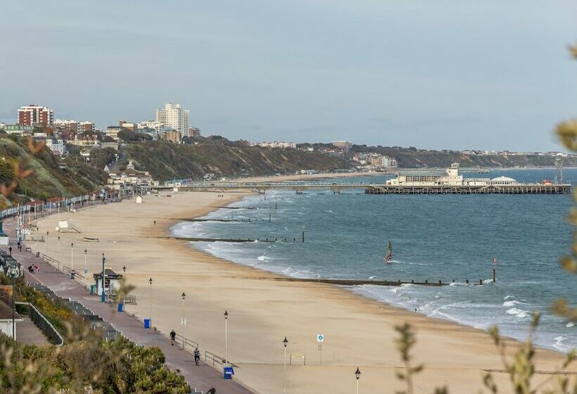 Swallows Bournemouth