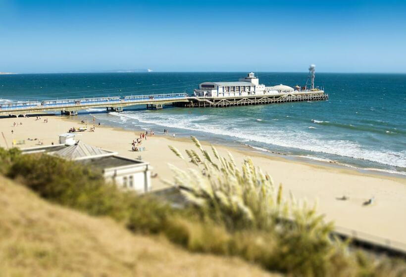 Swallows Bournemouth