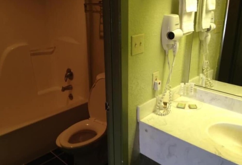 فندق Budget Inn San Antonio Downtown I 10 East