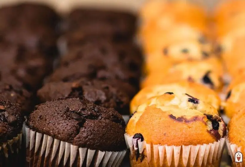 ホテル Coyote South