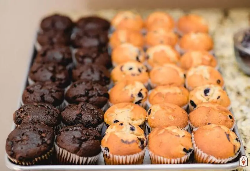 ホテル Coyote South