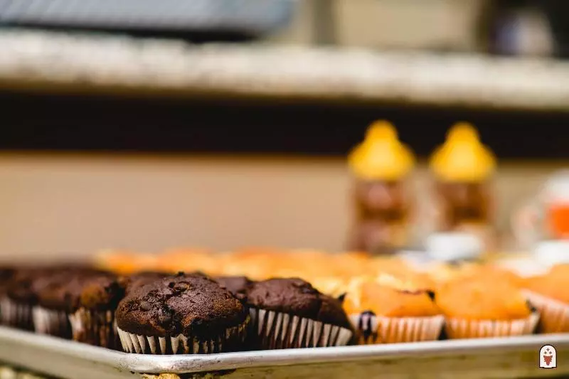 ホテル Coyote South