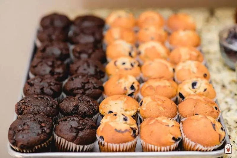 ホテル Coyote South