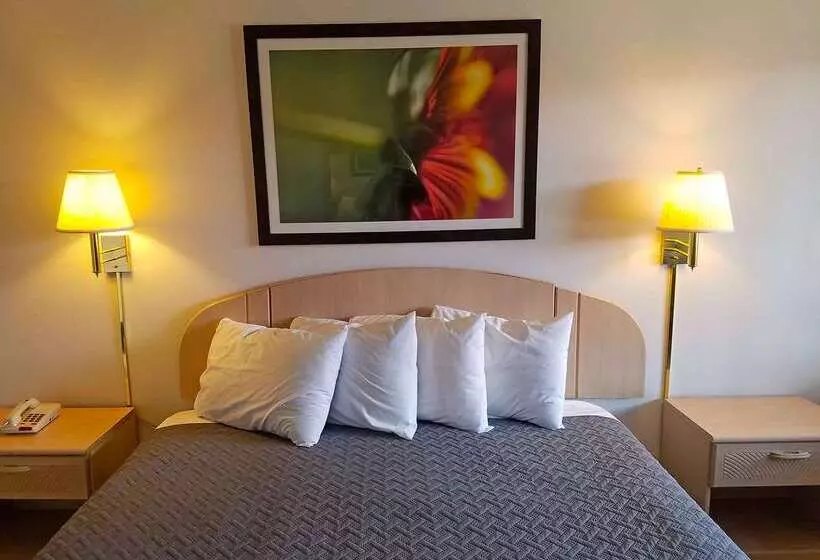 فندق على الطريق Americas Best Value Inn Eloy Casa Grande