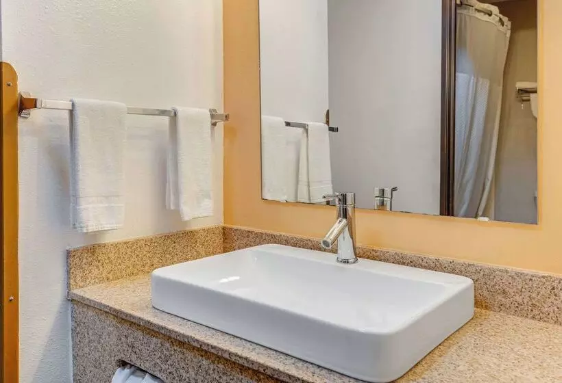 汽车旅馆 Rodeway Inn