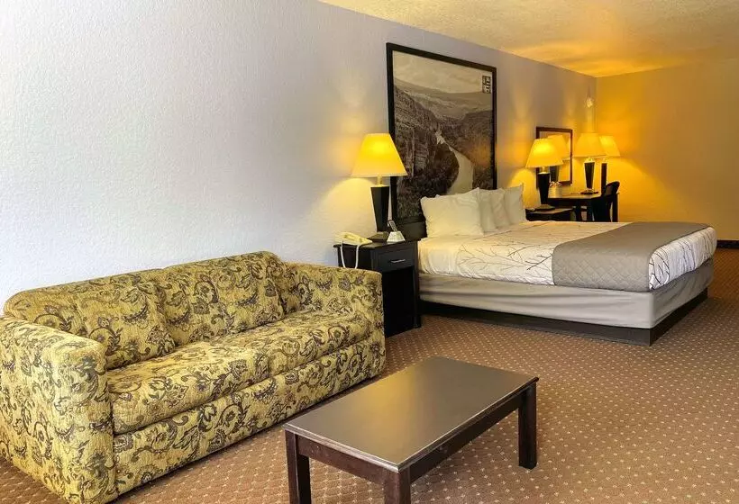 모텔 Hill Country Inn & Suites   New Braunfels, Gruene