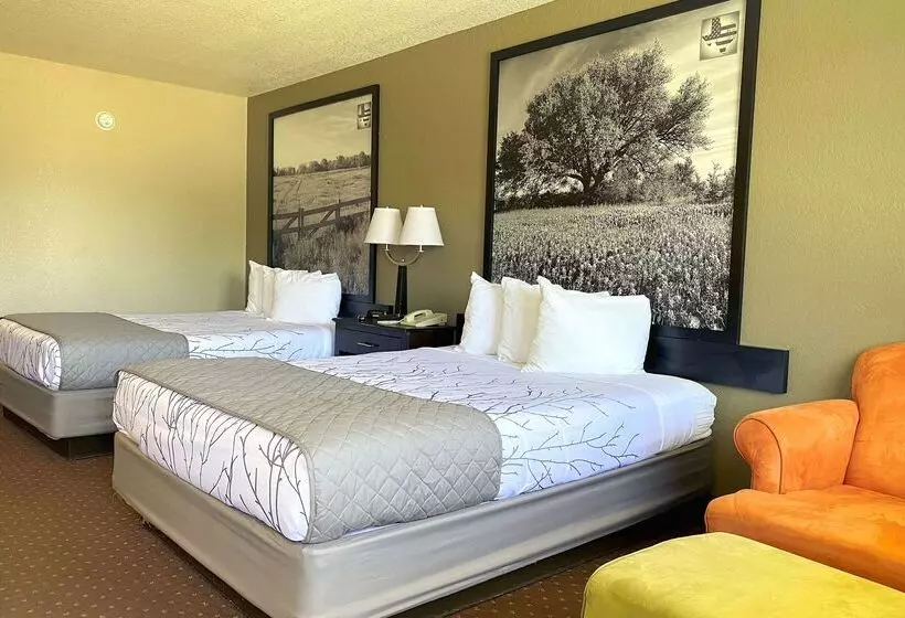 모텔 Hill Country Inn & Suites   New Braunfels, Gruene