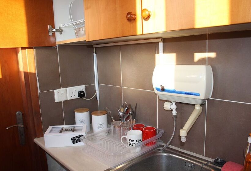 C.a.t Hostel Paphos Adult Only