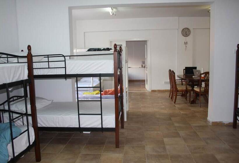 C.a.t Hostel Paphos Adult Only