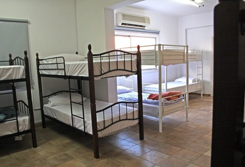 C.a.t Hostel Paphos Adult Only