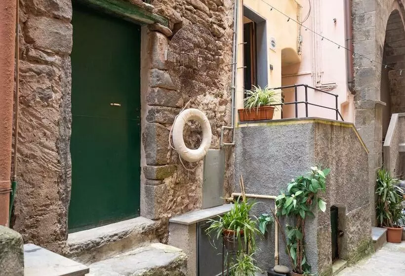 پانسیون Zia Rina Cosy Room