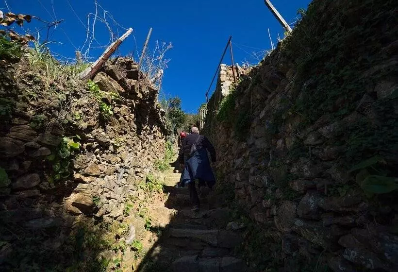 پانسیون Zia Rina Cosy Room