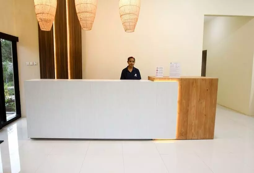 ベッドアンドブレックファースト Pasola