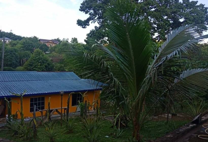 Pansiyon Arvad Cottage