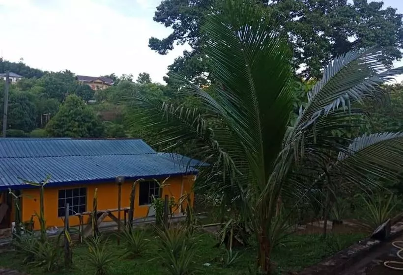 پانسیون Arvad Cottage