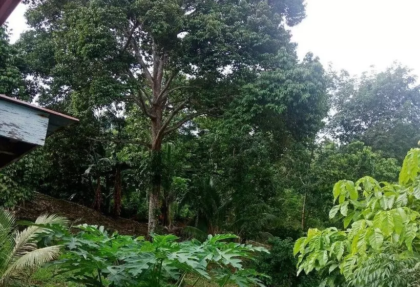 پانسیون Arvad Cottage