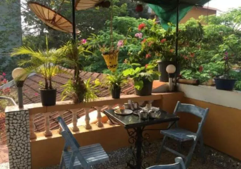 ホテル Afonso Guest House