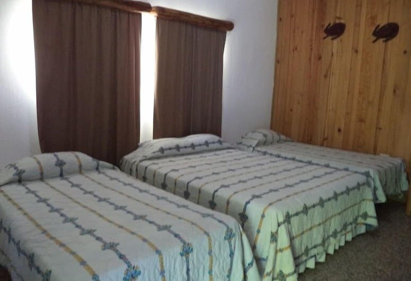 هتل Viñas Del Lago