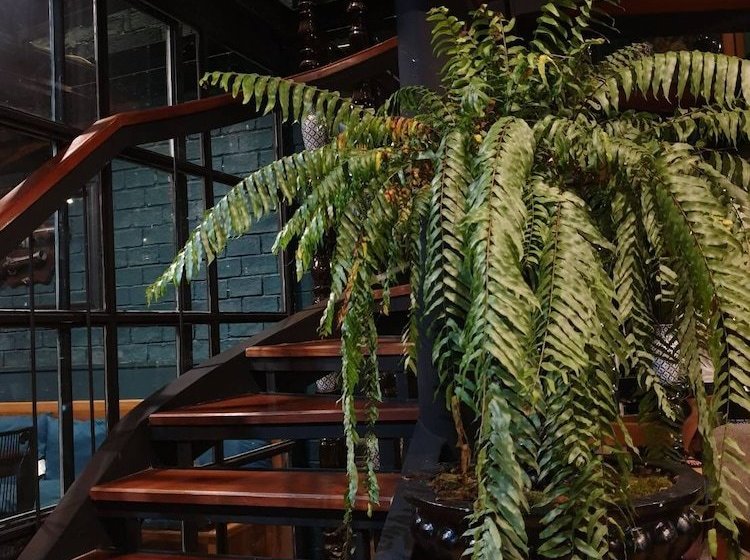 Mystery Hostel By Oyo Rooms