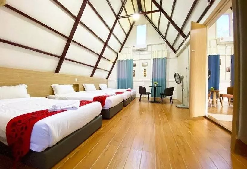 پانسیون Dreamland Beach Holiday