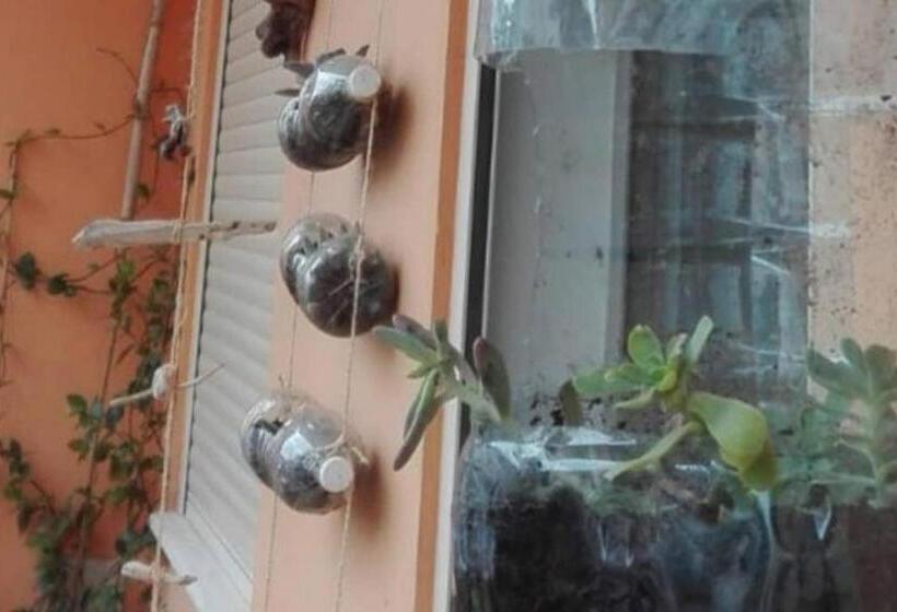 مبيت وإفطار Home Sweet Home   Guest House