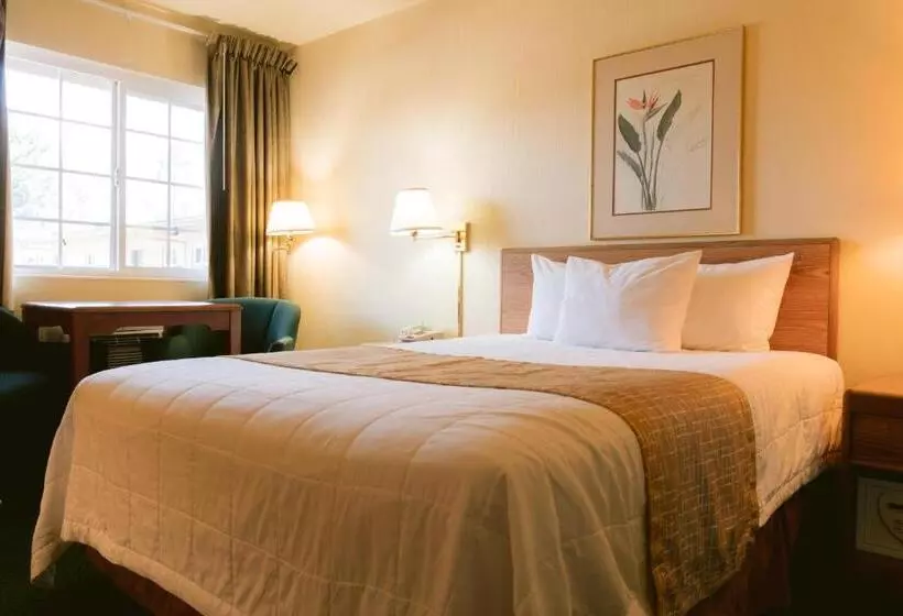 酒店 Riverfront Inn Roseburg