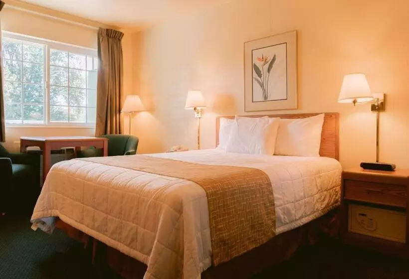 酒店 Riverfront Inn Roseburg