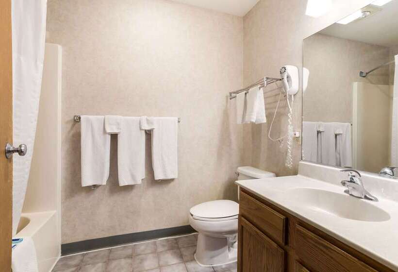 فندق Rodeway Inn