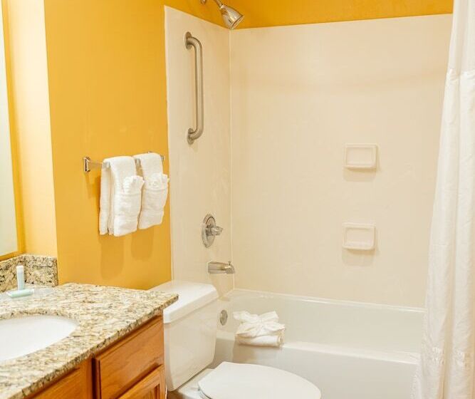 ホテル Towneplace Suites Dallas Las Colinas