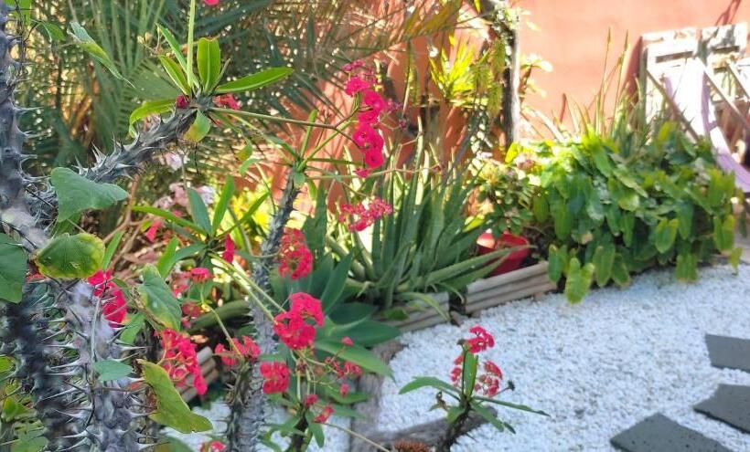 هاستل ô Passage   Kaz Auberge