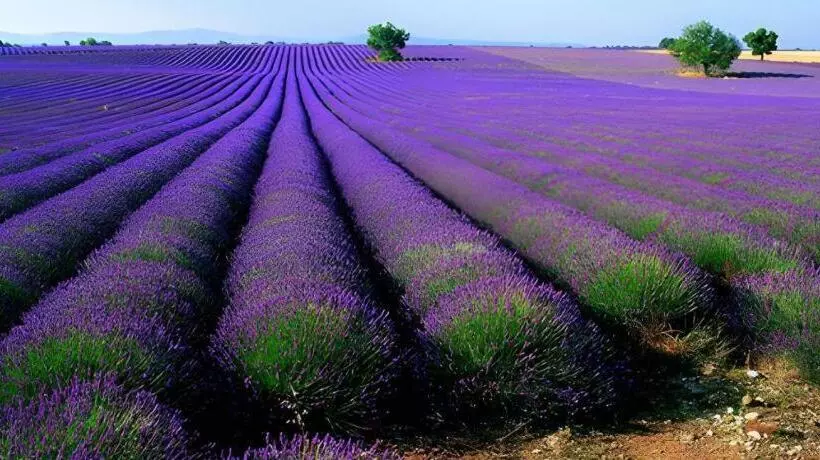 ホテル 7 Days Inn Yining Xintiandi