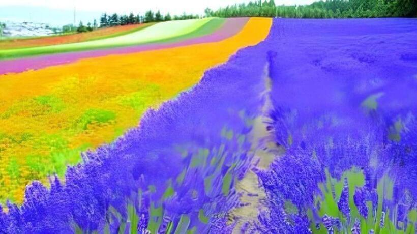 Otel 7 Days Inn Yining Xintiandi