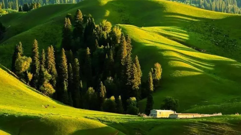 ホテル 7 Days Inn Yining Xintiandi