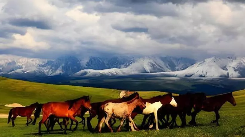 ホテル 7 Days Inn Yining Xintiandi