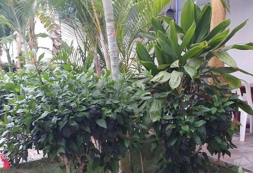 پانسیون Lucy Rooms