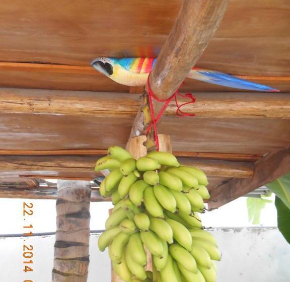 پانسیون Lucy Rooms