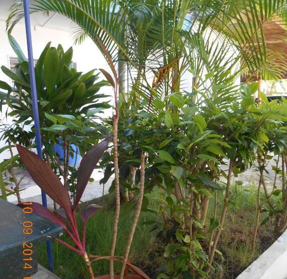 پانسیون Lucy Rooms