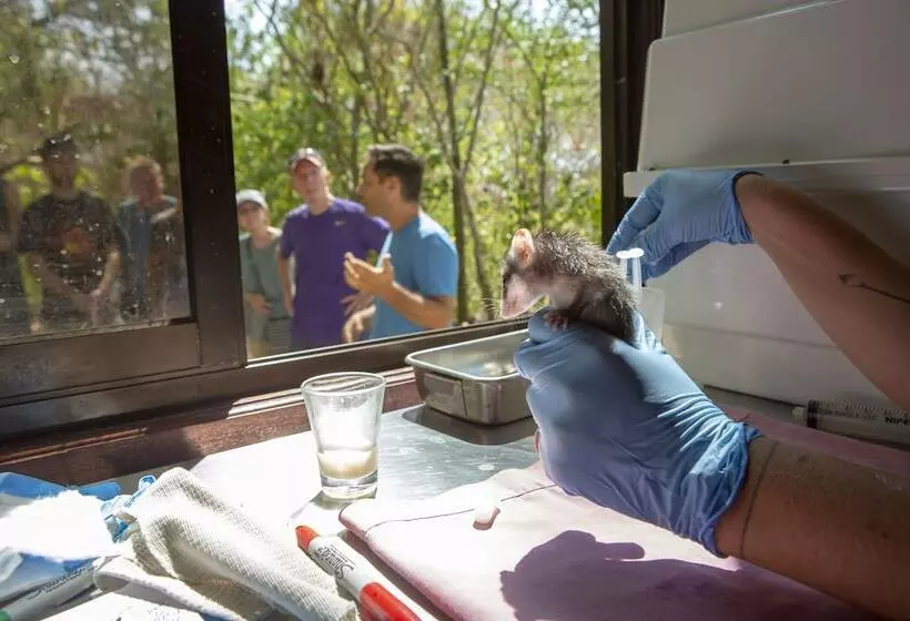 Hotelli Jungle Lodge At Wild Sun Rescue Center