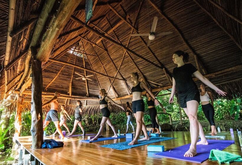 Отель Jungle Lodge At Wild Sun Rescue Center