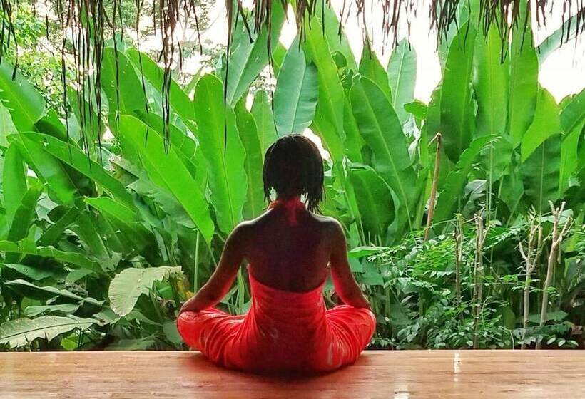 Отель Jungle Lodge At Wild Sun Rescue Center