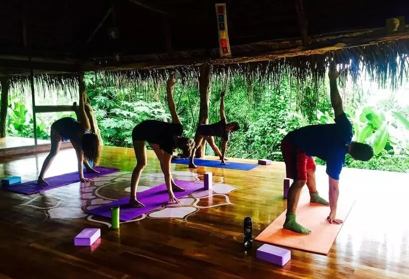 Hotelli Jungle Lodge At Wild Sun Rescue Center