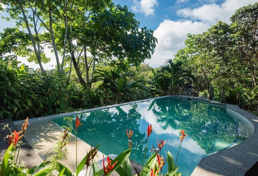 Отель Jungle Lodge At Wild Sun Rescue Center