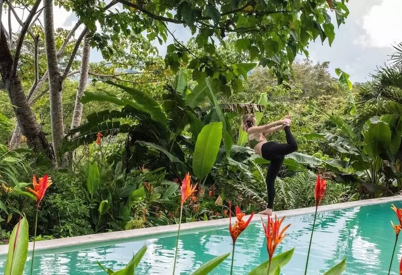 Hotelli Jungle Lodge At Wild Sun Rescue Center