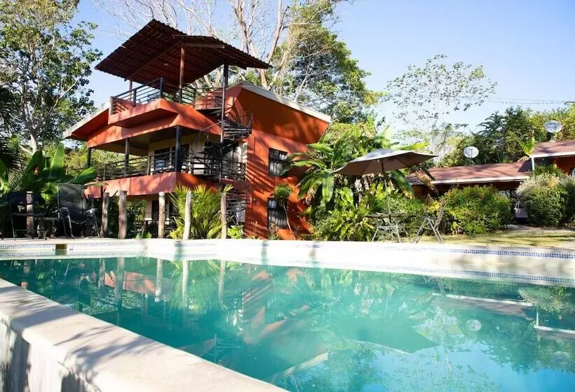 Hotelli Jungle Lodge At Wild Sun Rescue Center